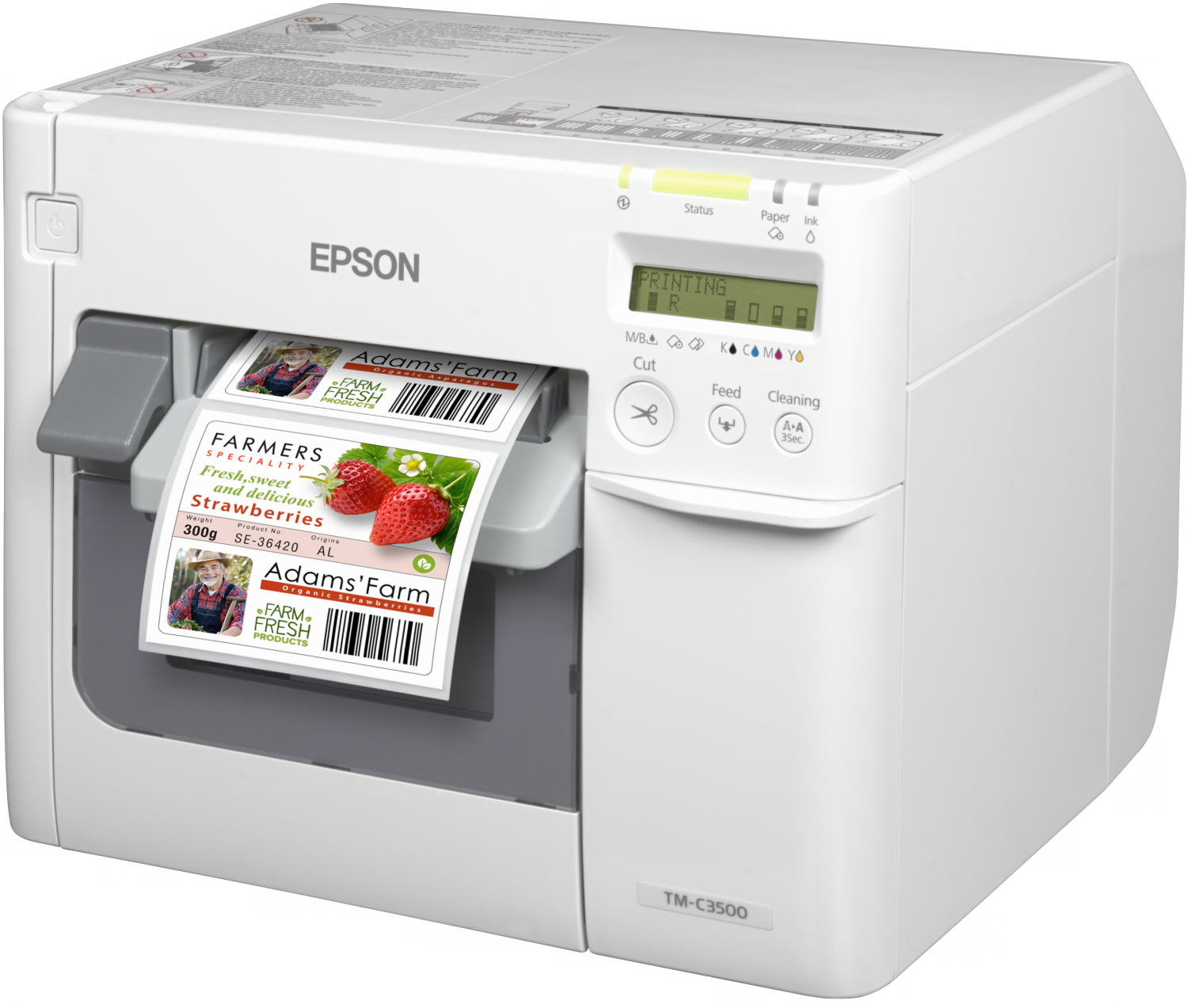Epson ColorWorks C3500 Series Colour Label Printer